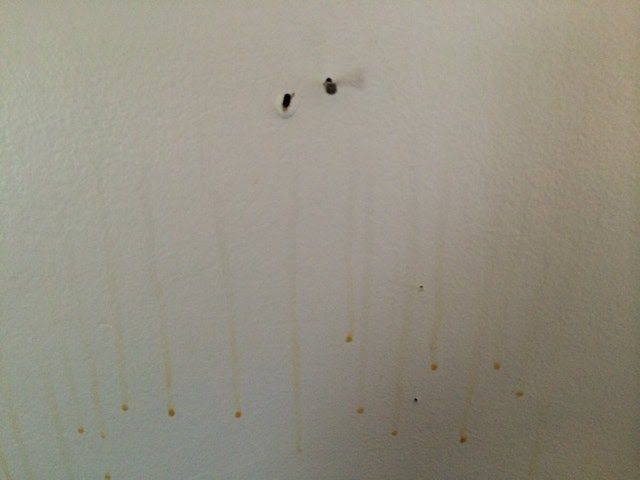 Oil Substance Leaking From Walls