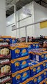 20210222-155.jpg