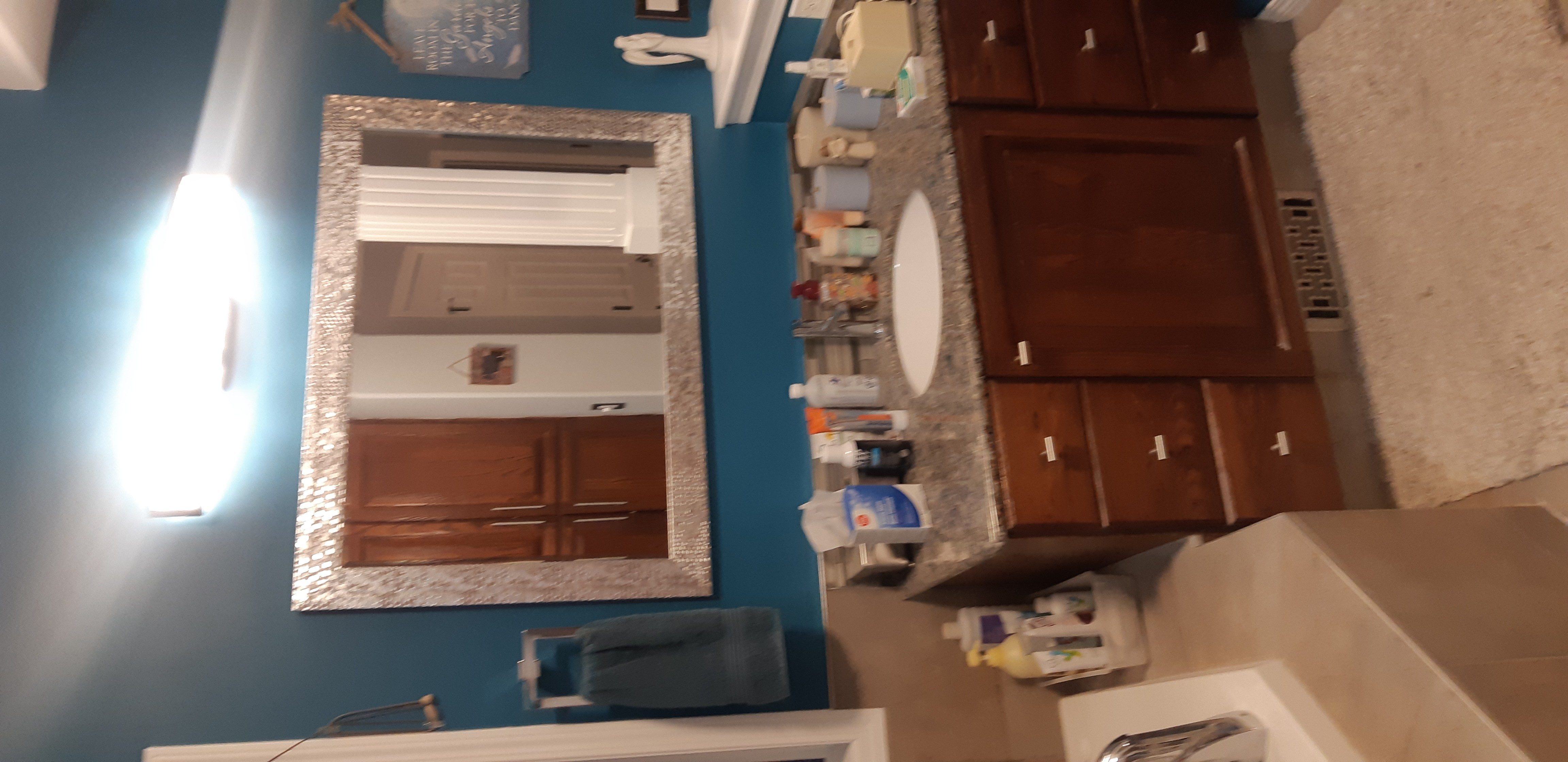 Bathroom Renovation must haves/regrets Page 15 Forums