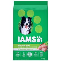 Iams Proactive Health Dry Dog Food