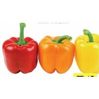 Sweet Bell Peppers