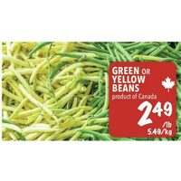 Green or Yellow Beans