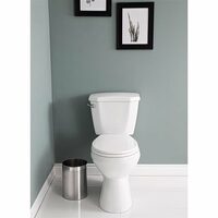 Project Source Total Eco 2-Piece Round Toilet 
