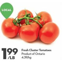 Fresh Cluster Tomatoes