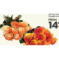 Tinted 12 Stem Roses Premium Ecuadorian 