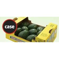 Avocado Case