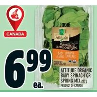 Attitude Organic Baby Spinach Or Spring Mix