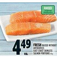 True North Seafood Company Fresh Raised Without Antibiotics East Coast Skinless Salmon Portions