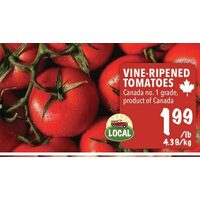 Vine-Ripened Tomatoes