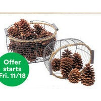 Large Christmas Scented Pine Cones by Ashland