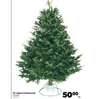 PC Balsam Christmas Tree