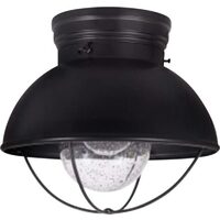 LED Black Vintage Semi-Flush Cage Light Fixture