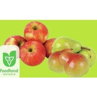 Honeycrisp Apples, Bartlett Pears 