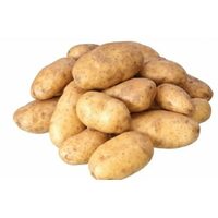 Russet Potatoes 