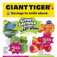 Giant Tiger - Weekly Savings - Super Savings Event (NB/NS/PE) Flyer