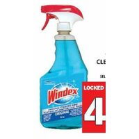 Windex Window Cleaner or Refill