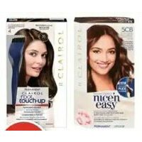 Root Touch-Up Or Nice'n Easy Hair Colour