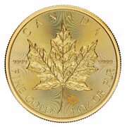 Costco 1 oz Gold Coin 2024 Canadian Maple Leaf $3199