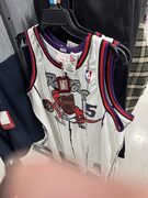 Vince Carter Mitchell and Ness Jersey