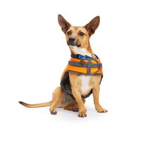 Petco Dog Flotation Vest