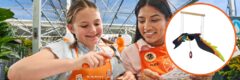 Register your Child to Build a Toucan Mobile on Saturday July 12, 2025 at 8:30 or 10:30 am ET