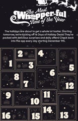 16 days of holiday deals online Tuesday December 9 to 24