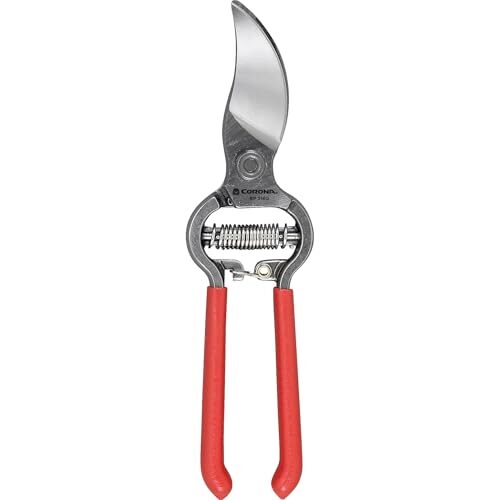 Amazon.ca: Kéo cắt cành Corona BP 3160 Classic Cut $11.33 (giá gốc $22.65)