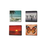 $29 for One 16”x20” Photo-to-Canvas Print ($100 Value)