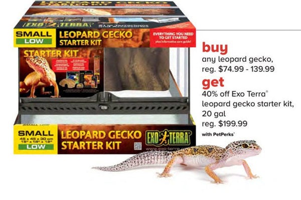 exo terra leopard gecko starter kit