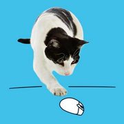 Petsmart 10 00 Off Online Orders Of 79 00 Or More Get Free