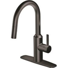Canadian Tire Danze Colby 1 Handle Kitchen Faucet Matte Black