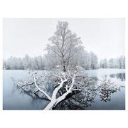 Winter Landscape Printed Canvas - $59.99 ($90.00 Off)