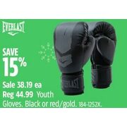 Everlast Youth Gloves - $38.19 (15% off)