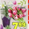 Tulip Bouquet or Pottied Easter Lilies - $7.99